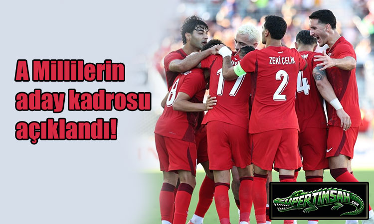 Milli takım aday kadrosu açıklandı!