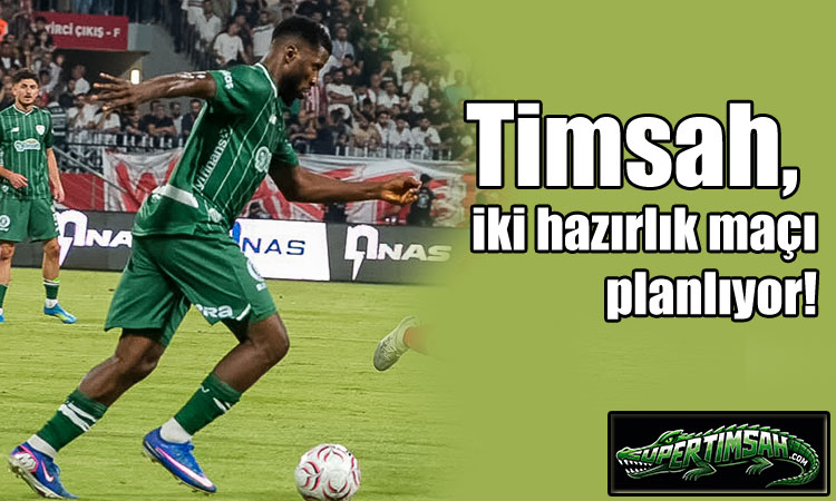 Timsah, iki hazırlık maçı planlıyor!