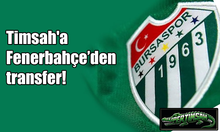 Timsah'a Fenerbahçe’den transfer!